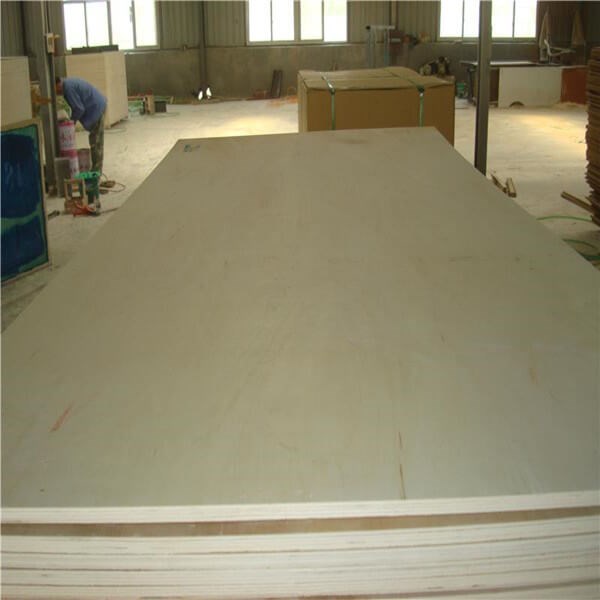 Poplar plywood